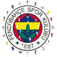 Fenerbahçe S.K.® Logo - Wooden Puzzle