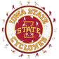 Iowa State University - Wooden Puzzle