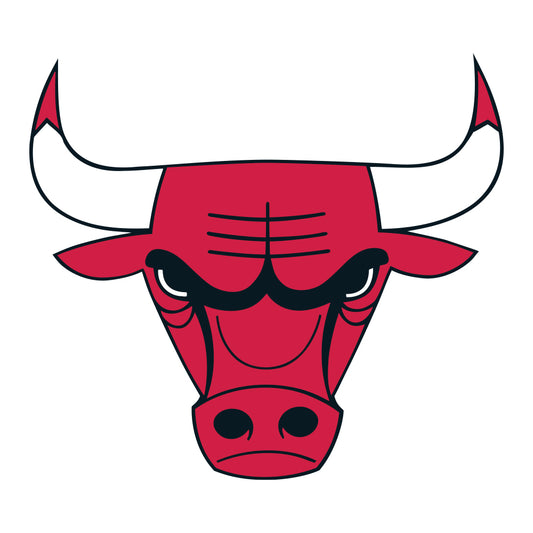 Chicago Bulls™ - Wooden Puzzle