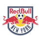 New York Red Bulls® Logo - Wooden Puzzle